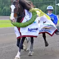 Evenemang: årspremiär Arena Dannero