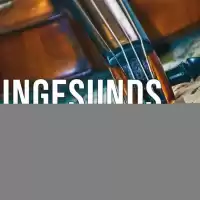 Evenemang: Techno Stockholm ? Inner Call? Skryption - Hard Techno