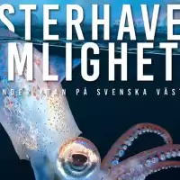 Evenemang: Västerhavets Hemligheter