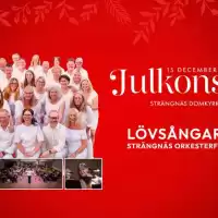 Evenemang: Julkonsert I Strängnäs Domkyrka