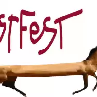 Evenemang: Hästfest