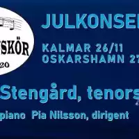 Evenemang: Julkonsert Med Johan Stengård Kalmar