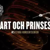 Evenemang: Mozart Och Prinsessor