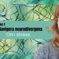 Evenemang: Om Npf Och Stress