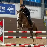 Evenemang: Clinic Med Eoin Mcmahon