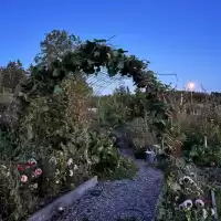 Evenemang: Guidning I Matskogen