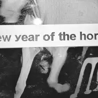 Evenemang: Mmmmm: New Year Of The Horse