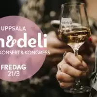 Evenemang: Fredag: Uppsala Vin & Deli 2025