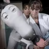 Evenemang: Treo, Enis Och En Till