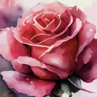 Evenemang: Roses Sip & Paint
