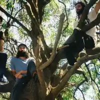 Evenemang: Orb + Träden | Hus 7