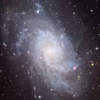 Evenemang: Gruppvisning