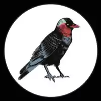 Evenemang: Short Not Short: Medelfilm Från Uppsala Kortfilm