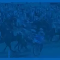 Evenemang: V85-lördag