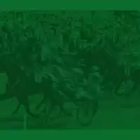 Evenemang: Familjedag Med Gs75