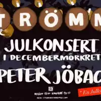 Evenemang: En Julkväll Med Jöback | Strömma Farmlodge
