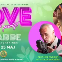 Evenemang: Love 50+ Party Malmö Vipbiljett