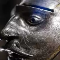 Evenemang: Temavisning: Vasarnas Rustningar Och Vapen