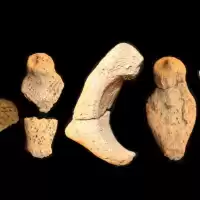 Evenemang: Tråsättra Och Stenåldersjägarnas Undergång