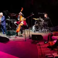 Evenemang: En Kväll För Cornelis