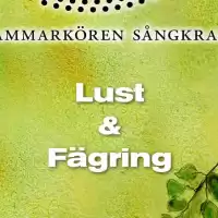 Evenemang: Kammarkören Sångkraft - Lust & Fägring