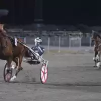 Evenemang: Kvällstrav V64