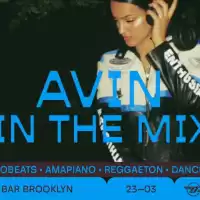 Evenemang: 11/1 Avin In The Mix | Debaser Klubben