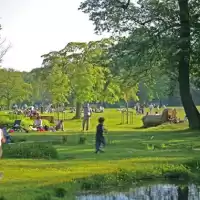 Evenemang: Bakluckeloppisen Vid Slottsskogen