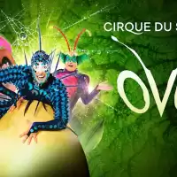 Bild på Cirque du Soleil till Sverige med produktionen OVO!