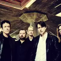 Bild på Suede [UK] till Sverige x2!