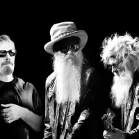 Bild på ZZ Top till Sverige i sommar för två konserter!