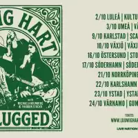 Bild på LUDWIG HART FÖRLÄNGER SIN AKUSTISKA TURNÉ MED TIO STOPP I HÖST